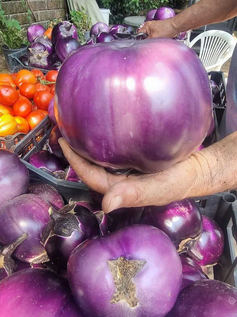 Menu_Agriturismo_San Benigno Canavese_image_4