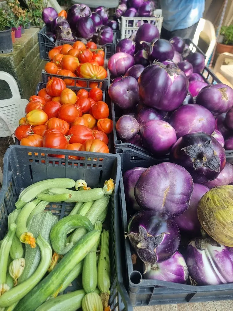 Menu_Agriturismo_San Benigno Canavese_image_5