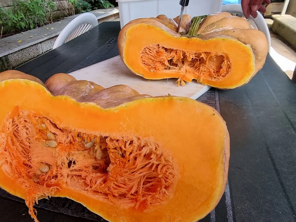 Menu_Agriturismo_San Benigno Canavese_image_7