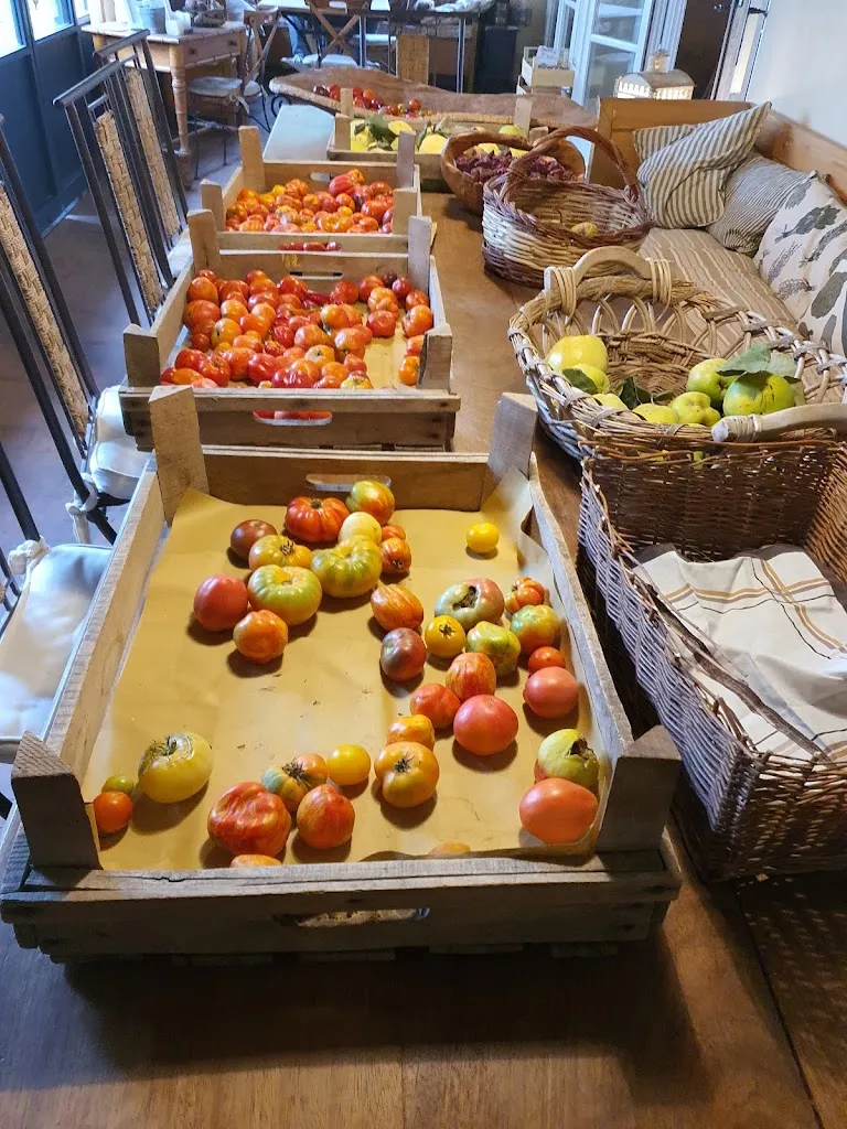 Menu_Ristorante a San Vincenzo Il Sale_Sale_image_8