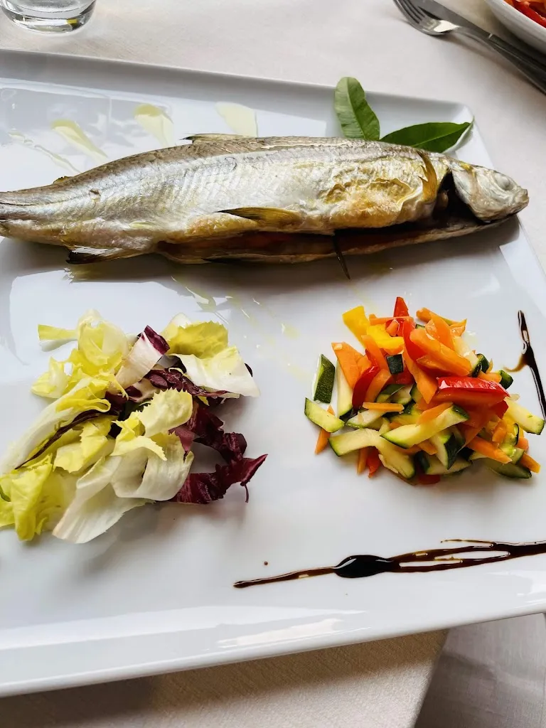 František Zimmermann_Le Fontane_Sale_review