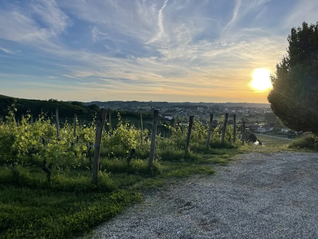 Lily Frey_Tenuta Agricola La Cava_San Damiano d'Asti_review