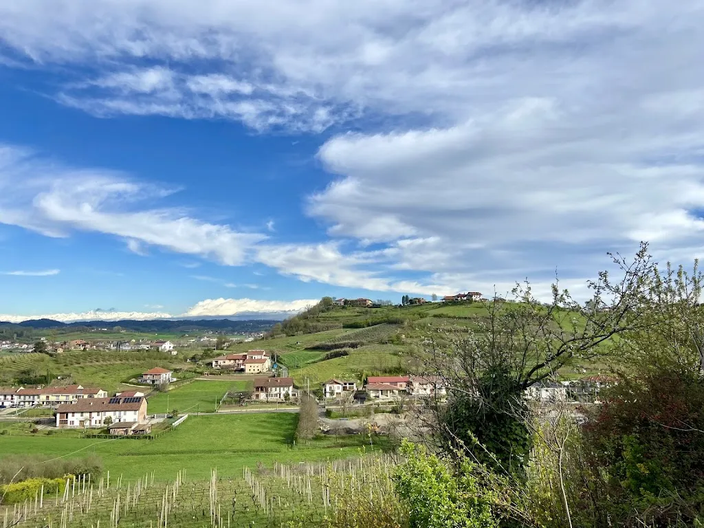 Salvatore Branchizio_Tenuta Agricola La Cava_San Damiano d'Asti_review
