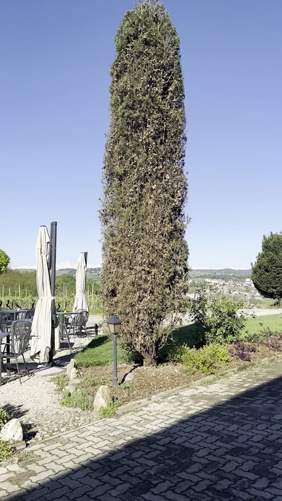 Tenuta Agricola La Cava_San Damiano d'Asti_slider_image_1