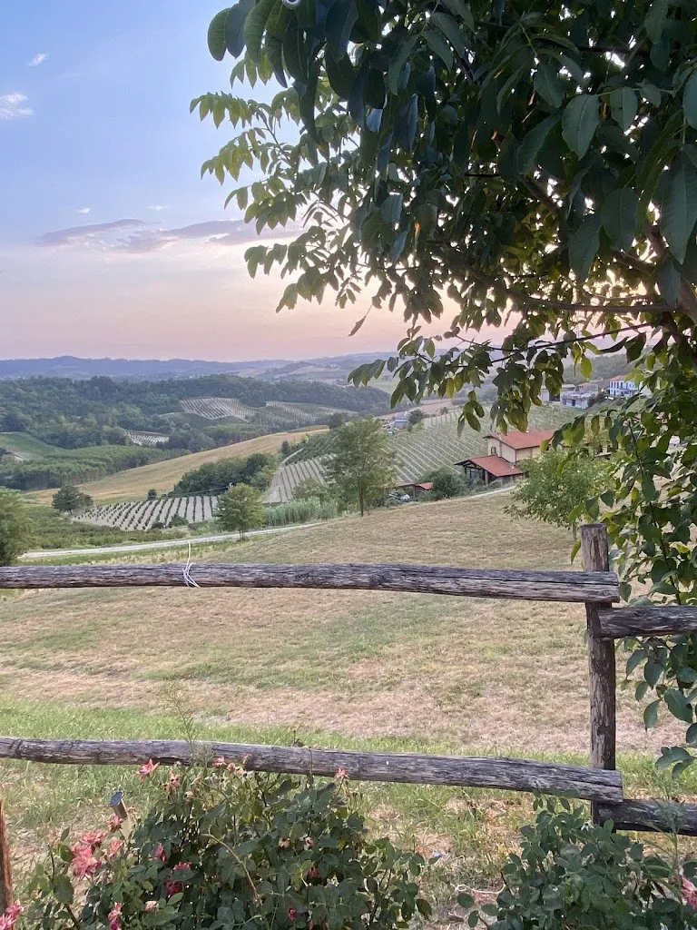 Kostas Panagiotakis_Armonia Treville_San Giorgio Monferrato_review