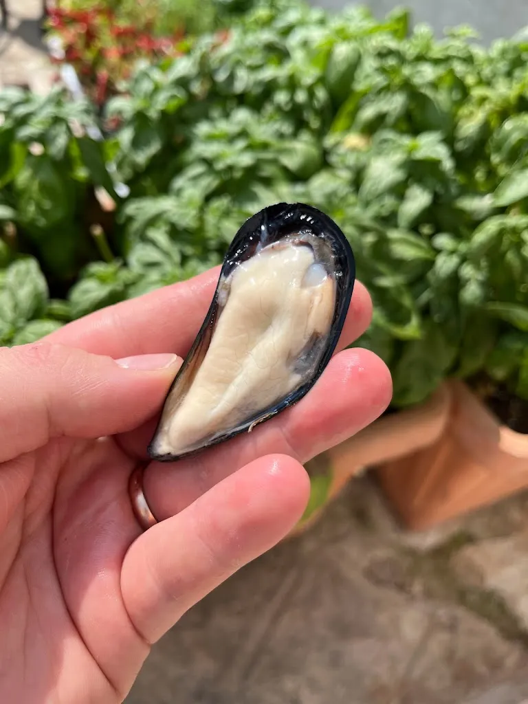 Menu_Ristorante l'Agrumeto_Fasano_image_7