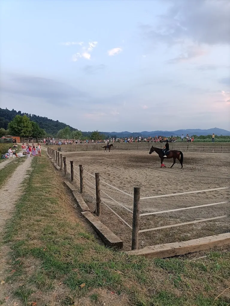 Samuele Aliberti_Tenuta Cimena - Riso San Raffaele_San Raffaele Cimena_review