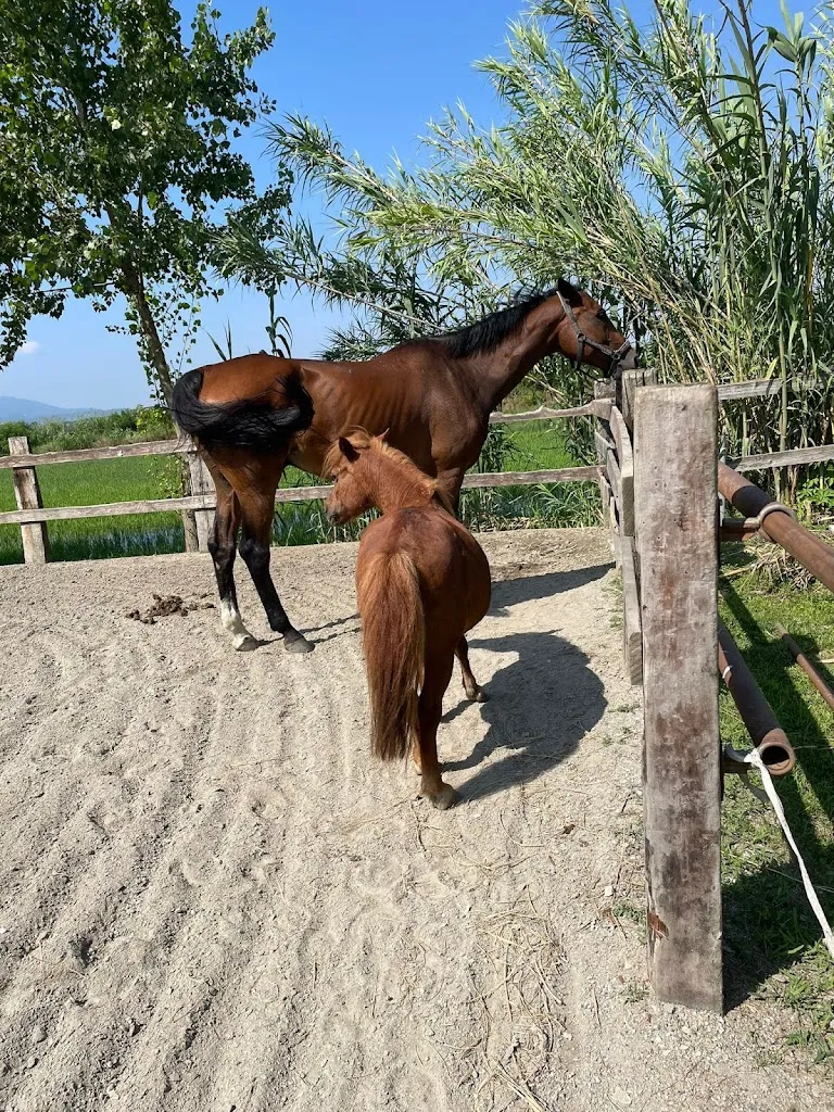 caterina caraffa_Tenuta Cimena - Riso San Raffaele_San Raffaele Cimena_review