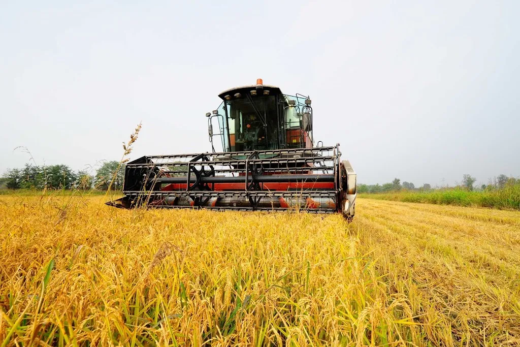 Tenuta Cimena - Riso San Raffaele_San Raffaele Cimena_slider_image_1