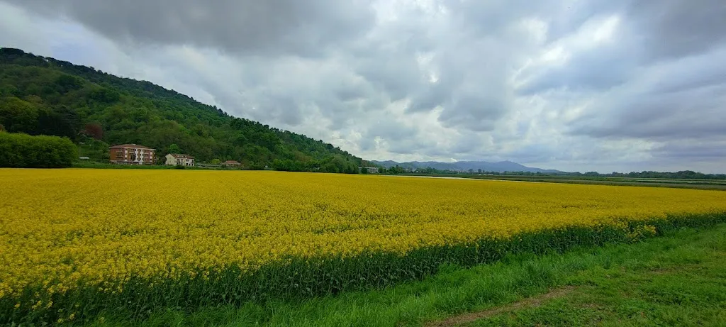 Tenuta Cimena - Riso San Raffaele_San Raffaele Cimena_slider_image_3