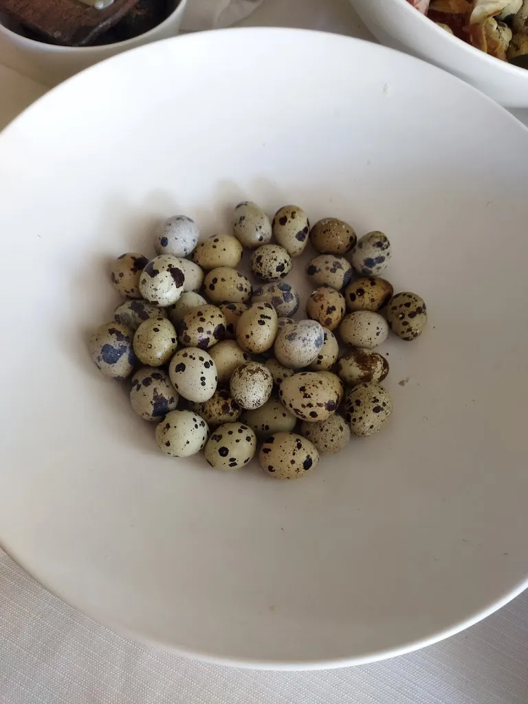 Menu_Il Fagiano_Fasano_immagine_9