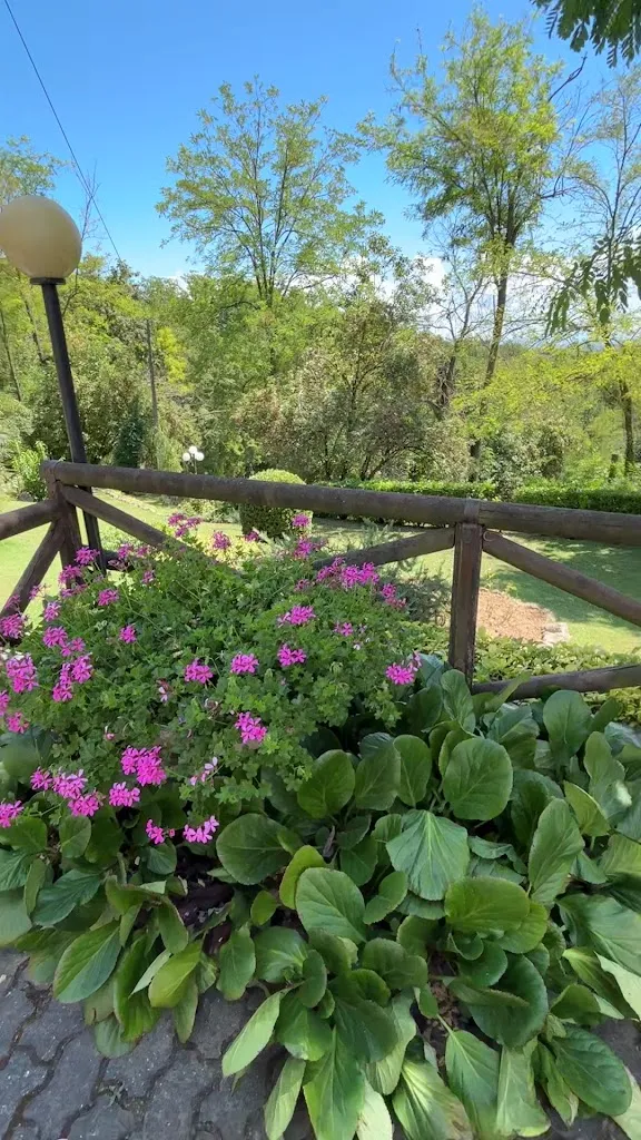 IL Girasole D'La TUR_San Salvatore Monferrato_slider_image_2