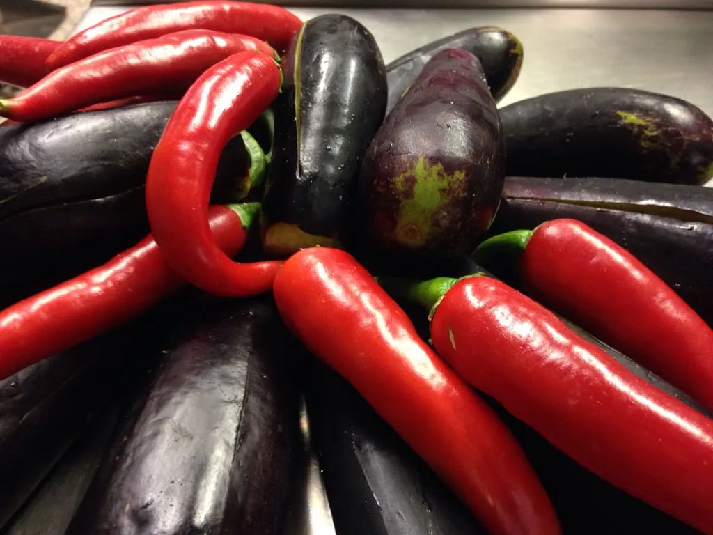 Menu_Bar Trattoria Ginepro_Sandigliano_immagine_8