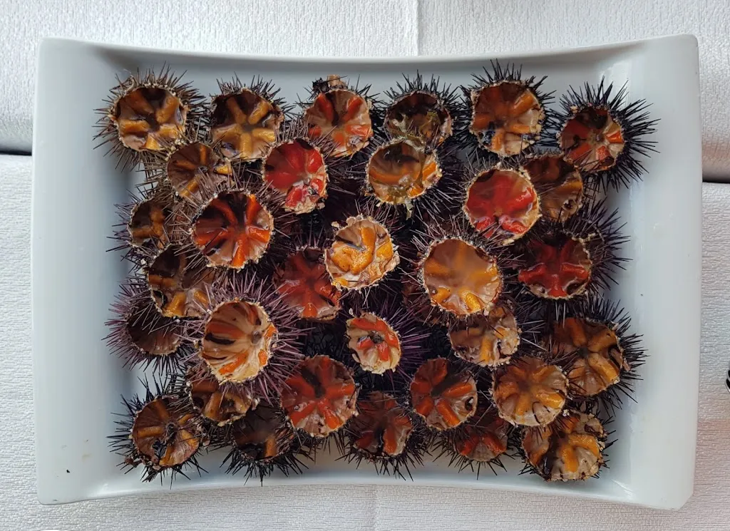 Menu_Luna Rossa_Fasano_image_6