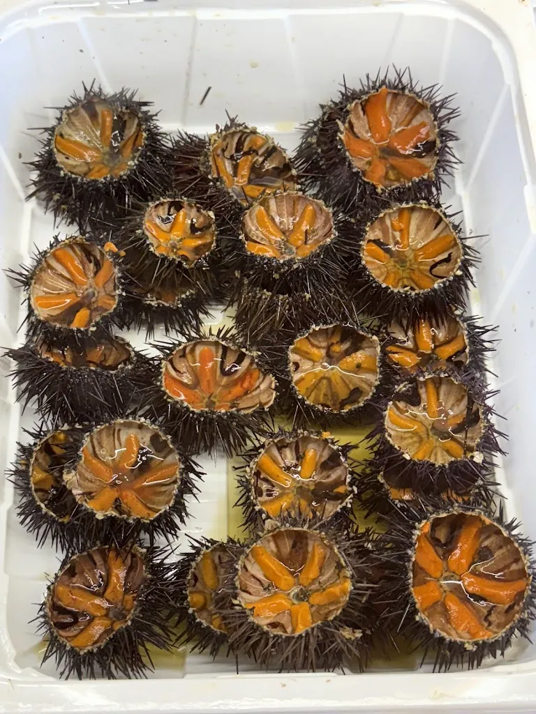 Emanuel Dascaliuc_Luna Rossa_Fasano_review