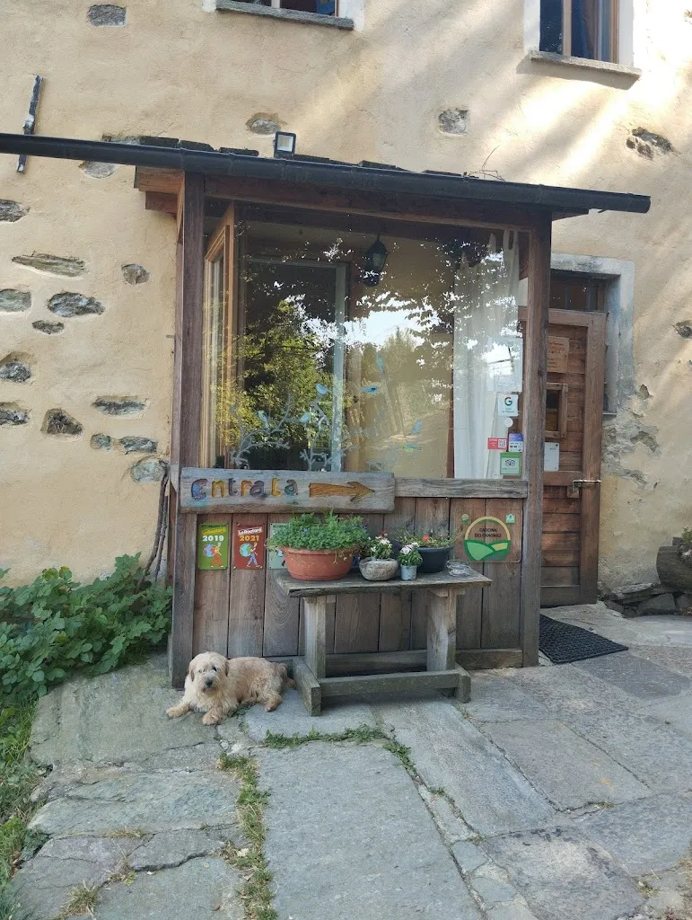 Cascina dei Canonici_Sant'Ambrogio di Torino_slider_image_1