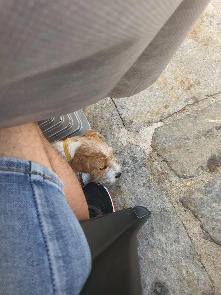 Ilaria Rai_Ristorante Locarno_Santa Maria Maggiore_review