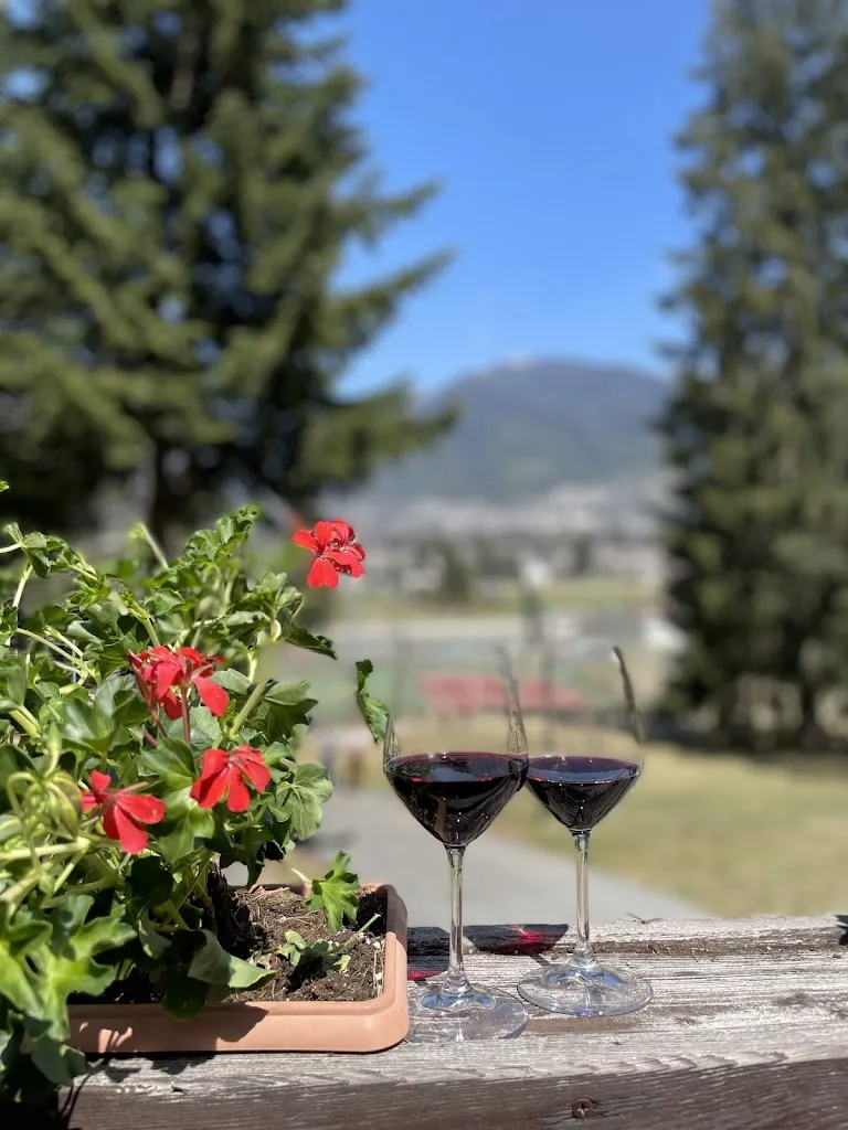 Il Capanno dei Pini_Santa Maria Maggiore_slider_image_2