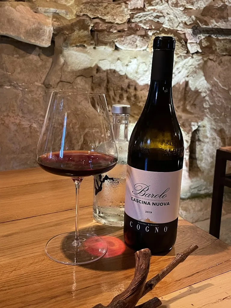 Kelly Cheng_Ant_Scagnello_review