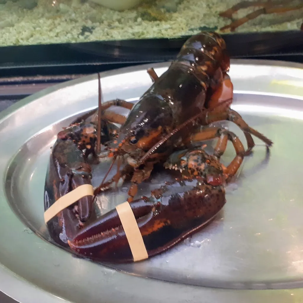 Menu_L'Acquario Ristorante Pizzeria_Santhià_image_5