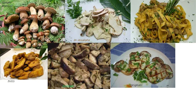 Ristorante Del Pino sciolze_Sciolze_slider_image_2