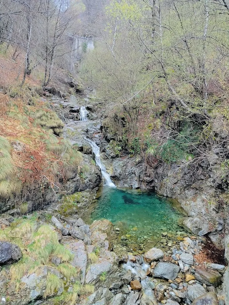 Andrea Arbasi_Ristorante Rododendro_Seppiana_recensione