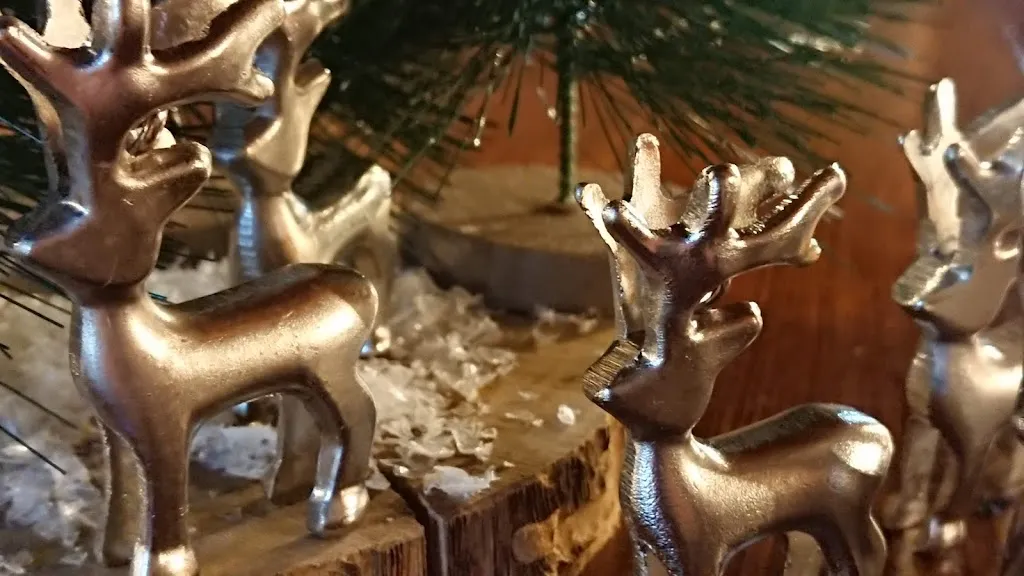 Gianfranco Comino_Controcorrente Bistrot_Savigliano_review