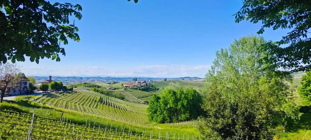 Rossana Nocita_Albergo - Ristorante Trattoria del Castello_Serralunga d'Alba_review