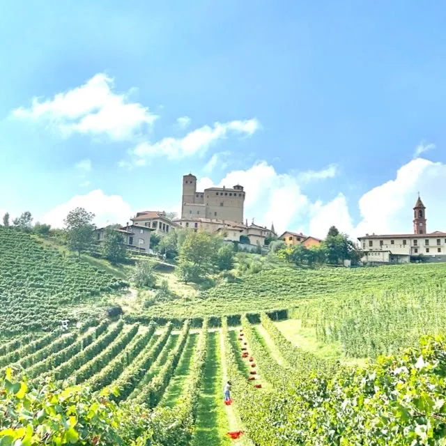 Agriturismo Schiavenza - Serralunga d'Alba_Serralunga d'Alba_slider_image_1