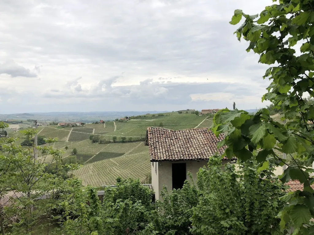 Patrick Densmore_Il Flauto Magico - Vineria con cucina_Serralunga d'Alba_review