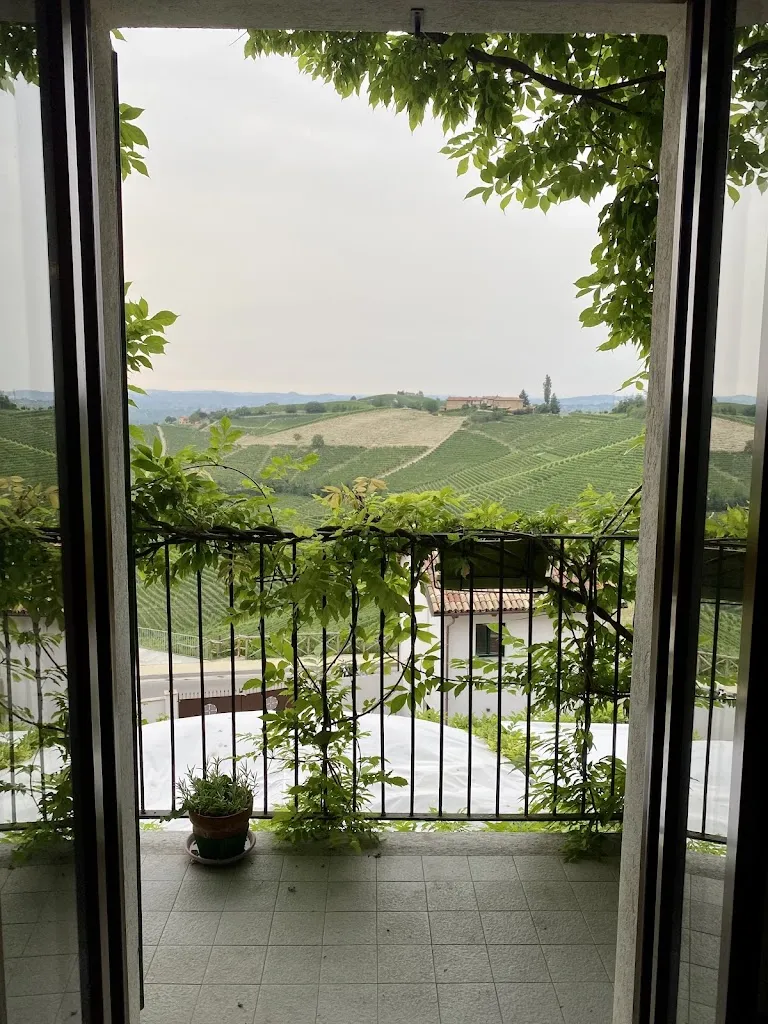 Zita P_Il Flauto Magico - Vineria con cucina_Serralunga d'Alba_review