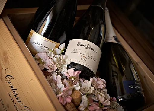 Il Flauto Magico - Vineria con cucina_Serralunga d'Alba_slider_image_2