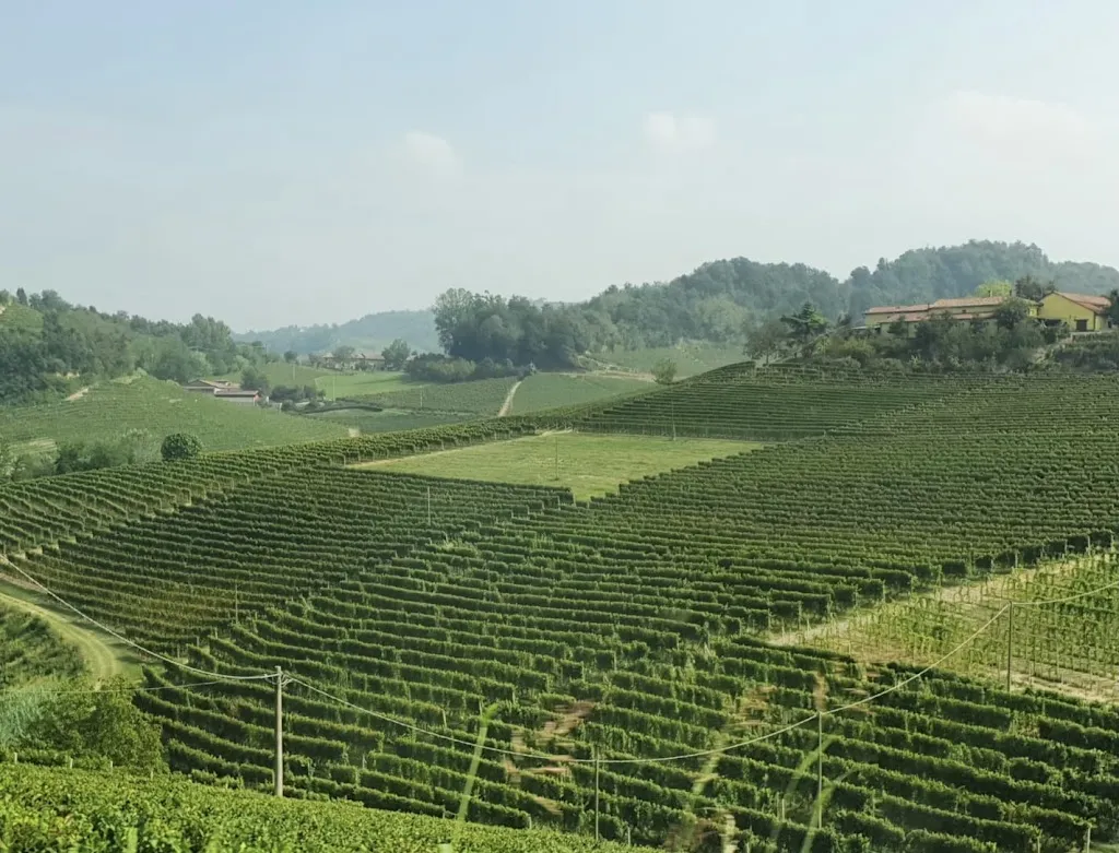 Il Flauto Magico - Vineria con cucina_Serralunga d'Alba_slider_image_3