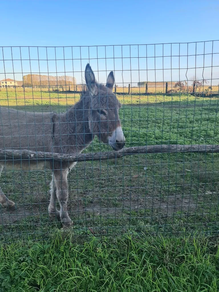 Agriturismo La Fattoria_Sillavengo_slider_image_2