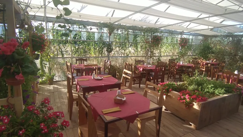 Solea Azienda Agricola_Scopello_slider_image_2