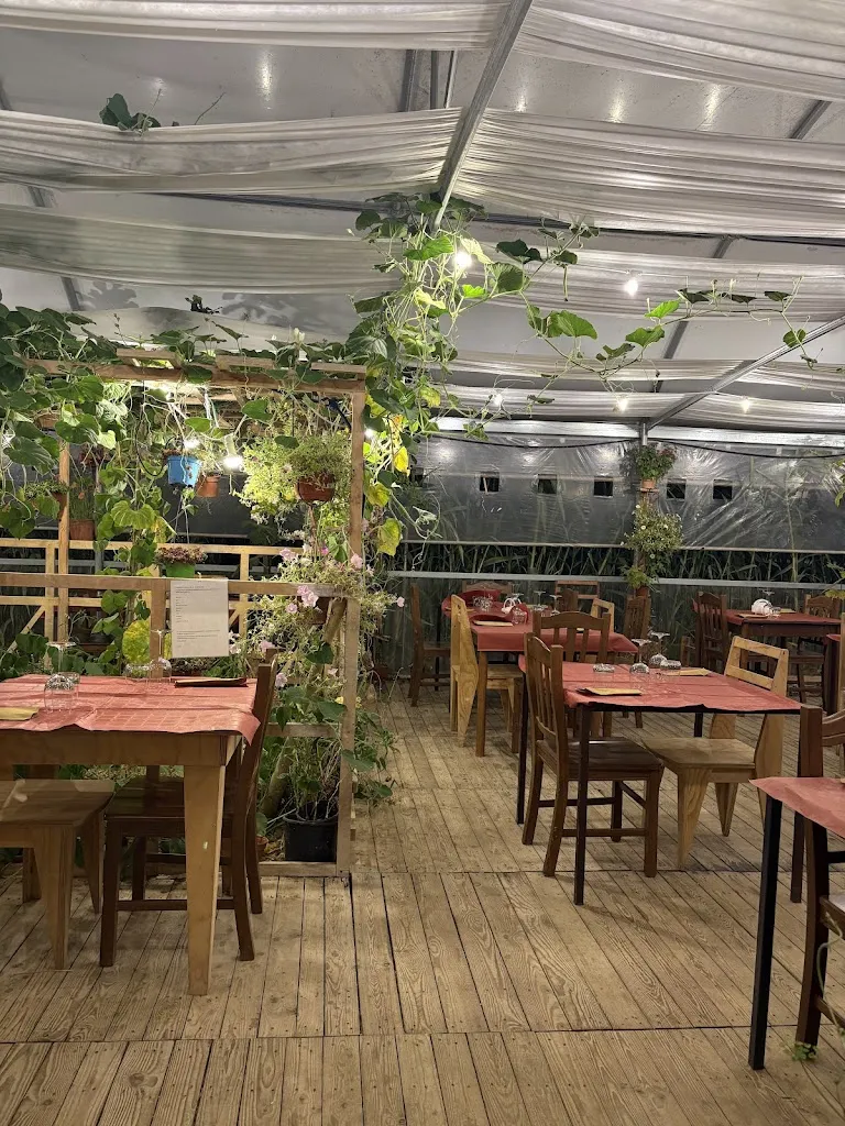 Solea Azienda Agricola_Scopello_slider_image_3