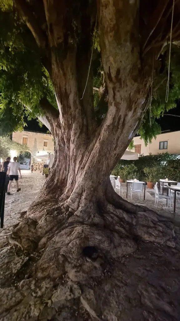 Sander_Fortified courtyard_Scopello_review