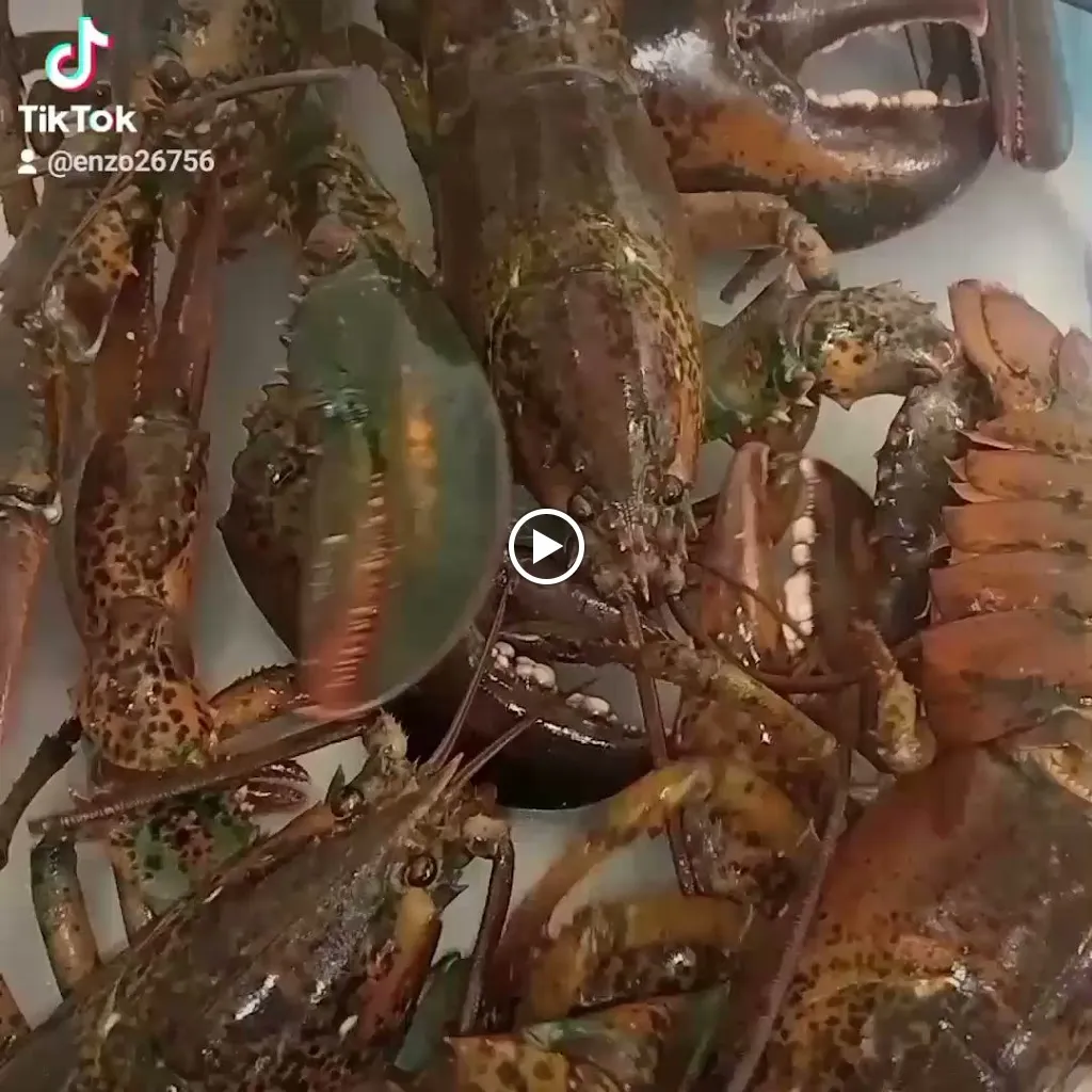 Bahía da Mimi - Bar Ristorante Stabilimento Balneare_Scopello_slider_image_2