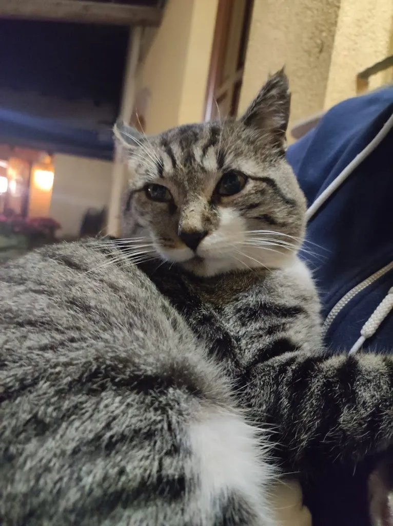 Battery Three_Fattoria delle Vignole_Sommariva Perno_review