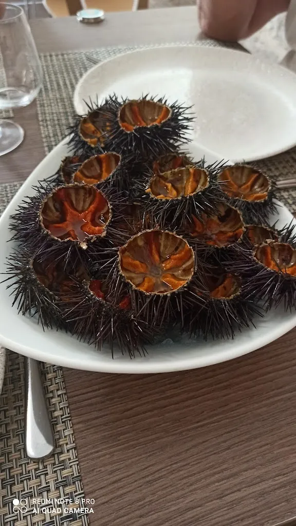 Menu_Procacci Ristorante_Corato_image_5