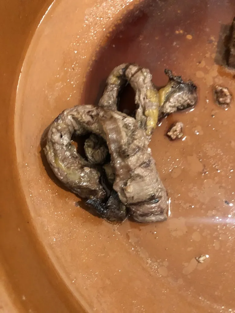 Motez Amayreh_La Vigna_Corato_review