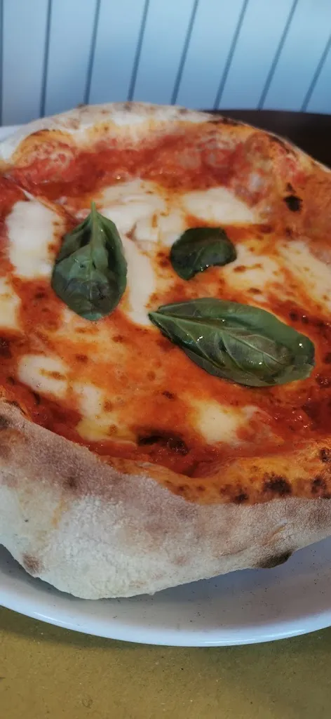 Menu_civico 41_Spigno Monferrato_image_7