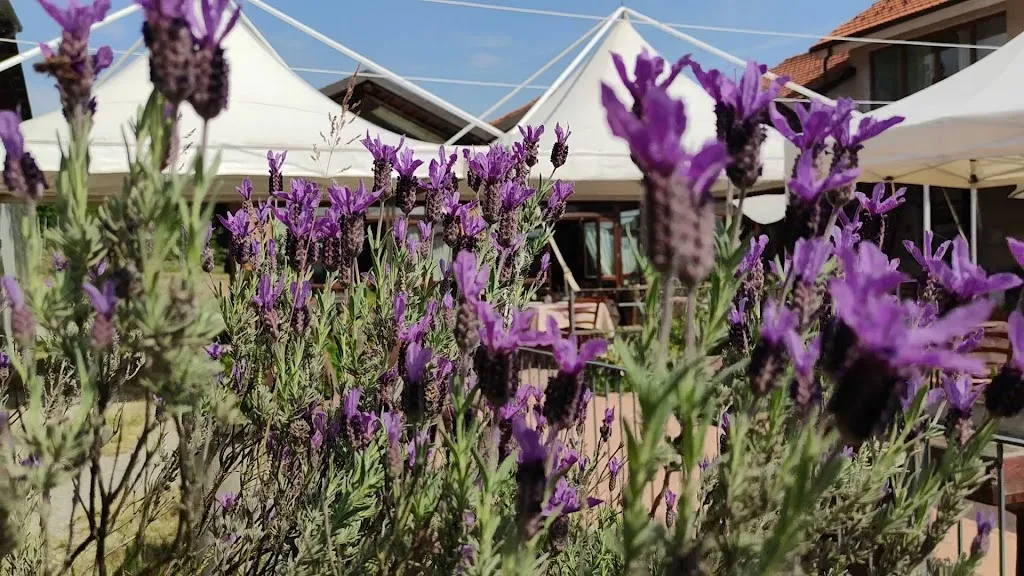 AZIENDA AGRITURISTICA IL CAMPASSO_Strevi_slider_image_2