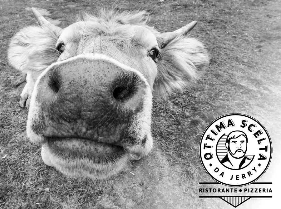 Ottima Scelta da Jerry_Torre Pellice_slider_image_3