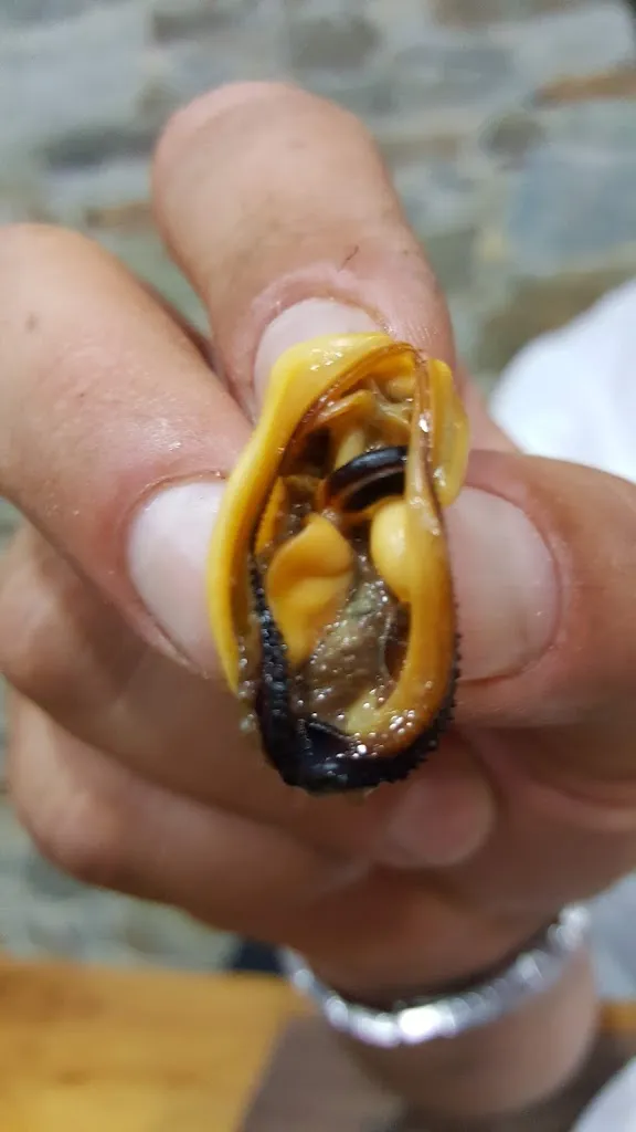 Menu_Lu Maritiello_Tetti Neirotti_image_1