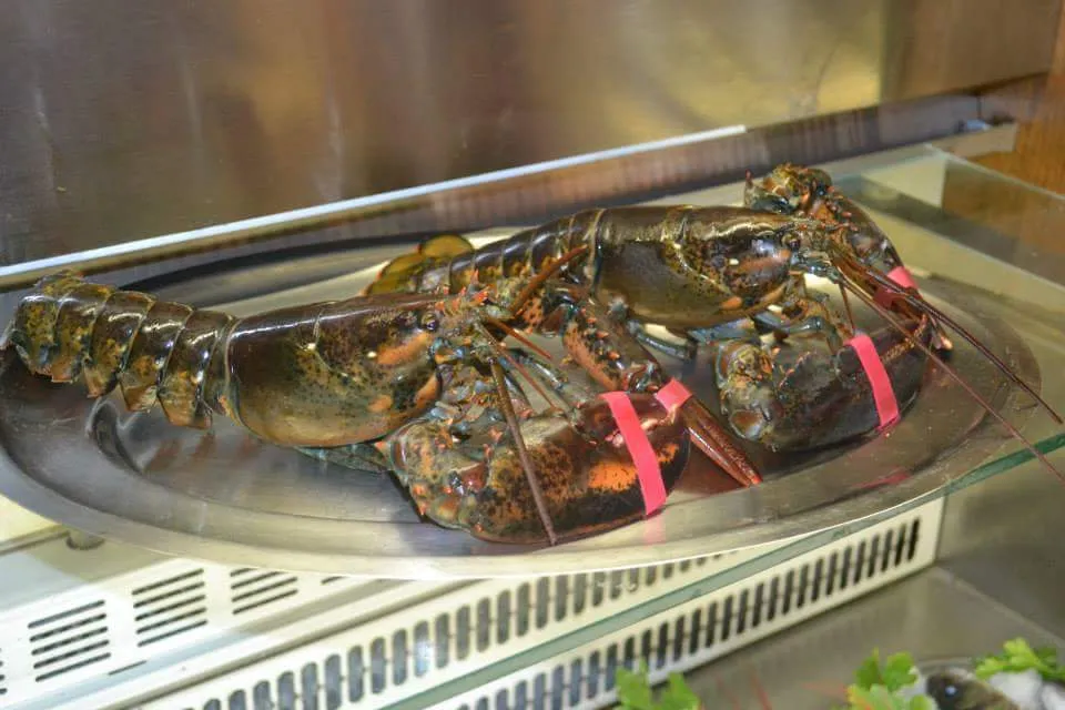 Ristorante La Torre_Val della Torre_slider_image_3