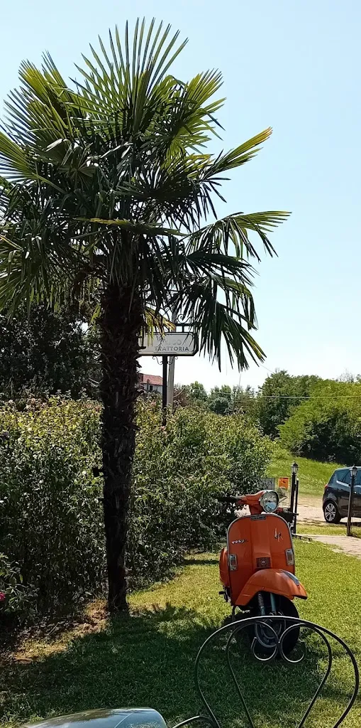 Matteo Ciacco_Trattoria Il Gelso_Valfenera_review