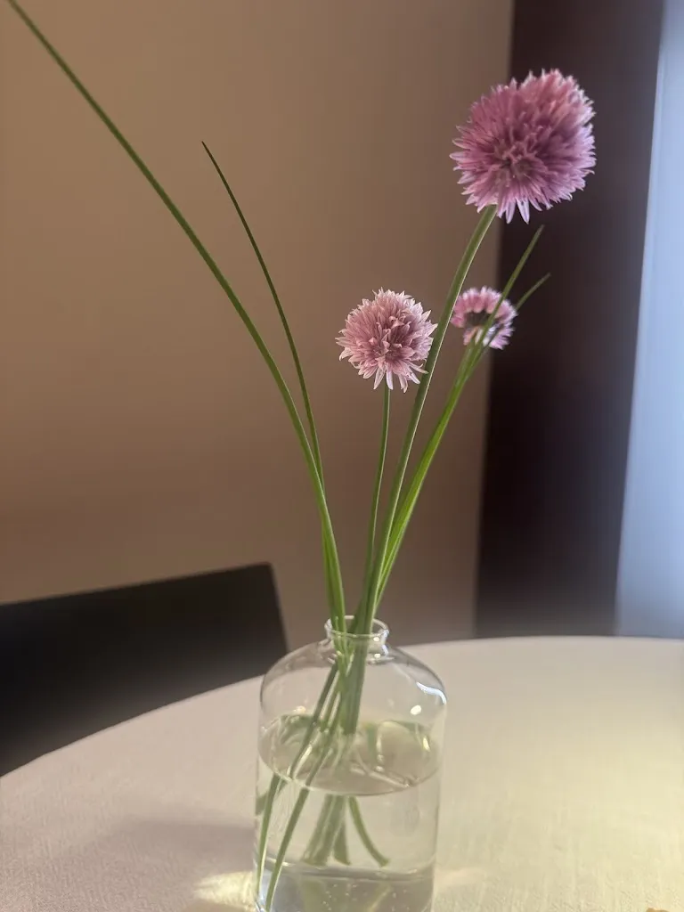 Barbara Gallizia_Via Valfenera 22 bis - Home Restaurant_Valfenera_review