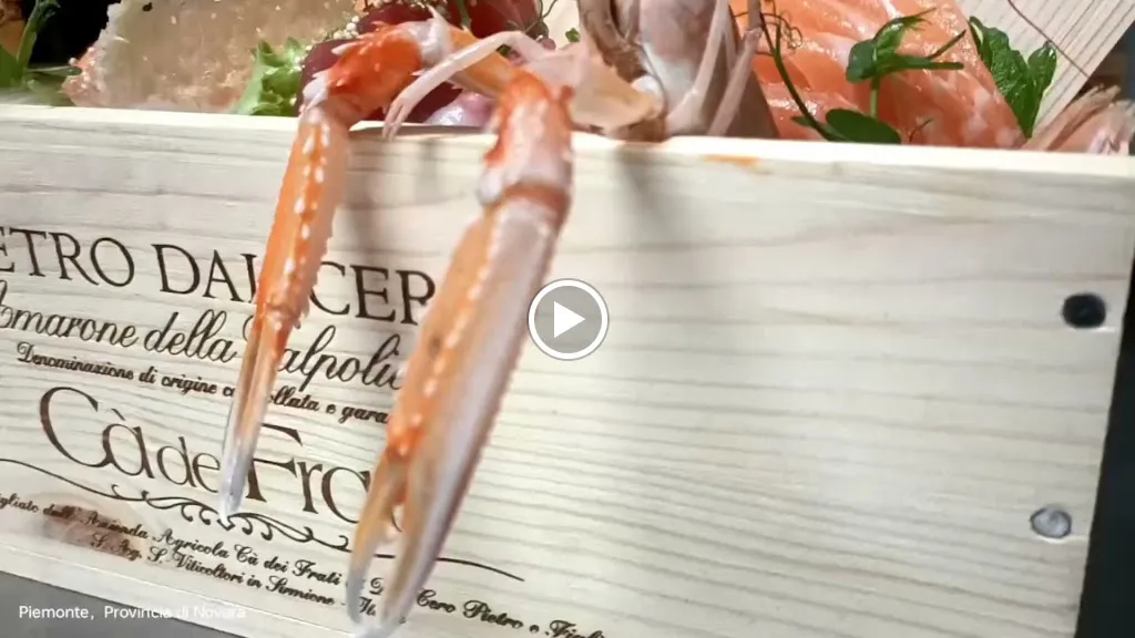 Sushi Romance Restaurant -Trecate_Trecate_slider_image_2