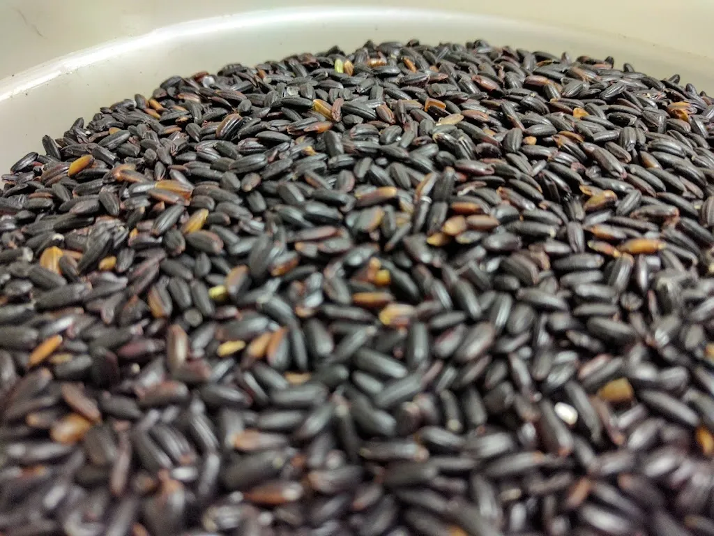 Menu_Croce di Malto_Trecate_image_3